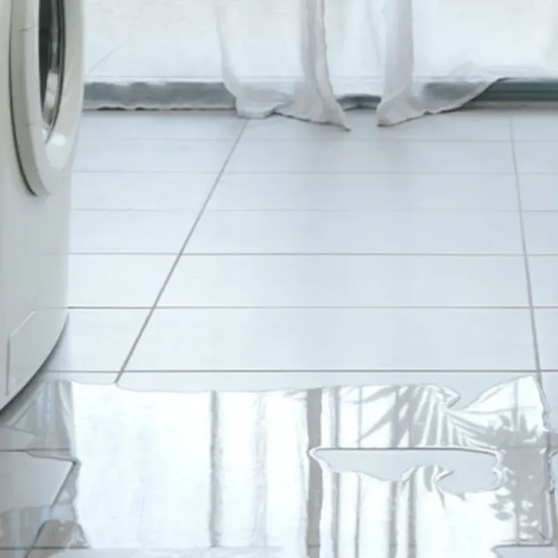Appliance Leak Cleanup in Marion, VA