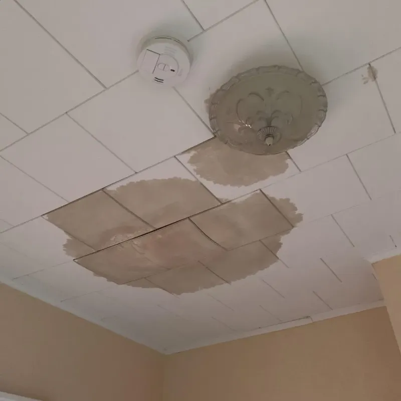 Ceiling Water Damage Repair in Marion, VA