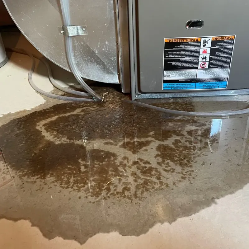 Pipe Burst and Leak Restoration in Marion, VA
