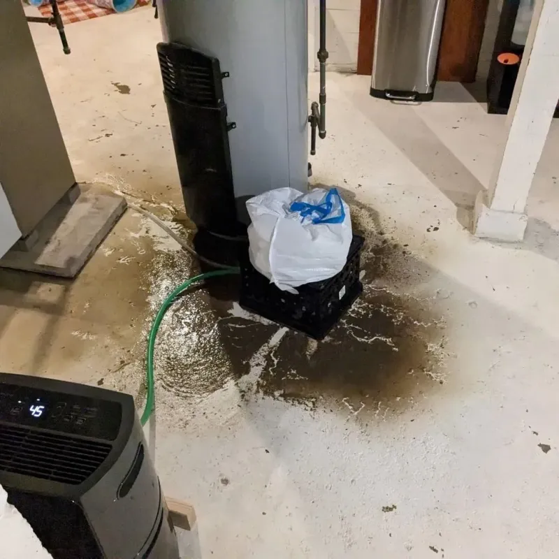 Sewage Backup Cleanup Service in Marion, VA